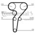 Комплект CONTI SYNCHROBELT KIT Contitech CT880K2 (фото 1)