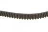 Пас ГРМ Mazda 323 1.5i 16V 94-98 (22x125z) Contitech CT899 (фото 2)