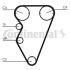 Комплект CONTI SYNCHROBELT KIT Contitech CT929K2 (фото 1)