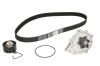 Комплект ГРМ (ремінь + ролик + водяний насос) LAND ROVER FREELANDER I LOTUS ELISE MG MG 6, MG TF, MG ZR, MG ZS, MG ZT, MG ZT- T, MGF ROVER 200, 200 II, 25 I, 400 II, 45 I, 75, 75 I 1.1-1.8 12.92- Contitech CT974WP1 (фото 1)