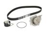 Комплект ГРМ (ремінь + ролик + водяний насос) LAND ROVER FREELANDER I LOTUS ELISE MG MG 6, MG TF, MG ZR, MG ZS, MG ZT, MG ZT- T, MGF ROVER 200, 200 II, 25 I, 400 II, 45 I, 75, 75 I 1.1-1.8 12.92- Contitech CT974WP1 (фото 2)