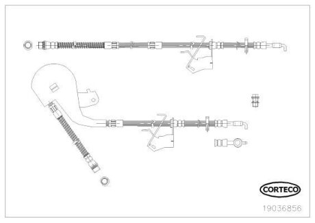 Шланг тормозной PSA C5/C6/407 04- передний R CORTECO 19036856