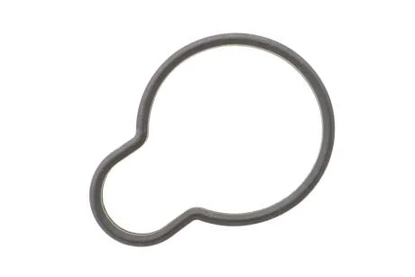 Прокладка впускного колектора CORTECO 450593H