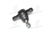 Опора шаровая нижняя Hyundai Sonata EF 98-04 NEW CB0185 CTR CBKH-20 (фото 1)