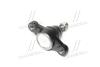 Опора шаровая нижняя Hyundai Sonata EF 98-04 NEW CB0185 CTR CBKH-20 (фото 4)