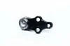 Опора шар нижняя Hyundai Tucson 09- Sonata 09-10 KIA Cerato 09- Sportage 10- NEW CB0206 CTR CBKH-39 (фото 3)