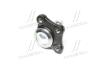 Опора шаровая нижняя KIA Bongo 03-10 NEW CB0232 CTR CBKK-6 (фото 4)