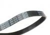 Ремінь 5PK1013 посилений ALFA ROMEO, DAEWOO,FIAT,FORD,MAZDA,OPEL,PEUGEOT,TOYOTA DAYCO 5PK1013HD (фото 2)