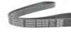 Ремінь генератора поліклиновий DAYCO 5PK1072S (фото 4)