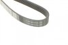 Пас поликлиновый Renault Kangoo 1.5 dCi 01-09 на CITROEN,HONDA,HYUNDAI,KIA,PEUGEOT,RENAULT DAYCO 5PK1137 (фото 3)