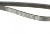 Пас поликлиновый Renault Kangoo 1.5 dCi 01-09 на CITROEN,HONDA,HYUNDAI,KIA,PEUGEOT,RENAULT DAYCO 5PK1137 (фото 4)