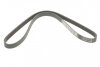 Пас поликлиновый Renault Kangoo 1.5 dCi 01-09 на CITROEN,HONDA,HYUNDAI,KIA,PEUGEOT,RENAULT DAYCO 5PK1137 (фото 5)