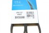 Пас поликлиновый Renault Kangoo 1.5 dCi 01-09 на CITROEN,HONDA,HYUNDAI,KIA,PEUGEOT,RENAULT DAYCO 5PK1137 (фото 6)