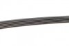 Ремень генератора Opel Astra 1.6 98-04/Omega 2.5 DTI 01-03 DAYCO 5PK2020 (фото 4)