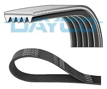 - Ремінь (поліклиновий) DAYCO 5PK2030S