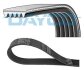 Ремінь П-клиновий 5EPK778 (Elastic) DAYCO 5PK778EE (фото 1)