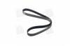 Ремінь генератора VW Caddy/Golf/Arteon 1.0/1.2/1.4/1.5 15- DAYCO 6PK1005 (фото 3)