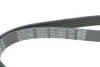 Ремінь поліклиновий DAYCO 6PK1090EE (фото 4)