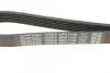 Ремінь генератора поліклиновий DAYCO 6PK1145 (фото 4)