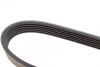 Ремінь генератора BMW F20/F30/F32 B38/B48 14- DAYCO 6PK1163 (фото 3)
