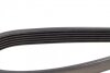 Ремень поликлиновой DAYCO 6PK1165 (фото 3)