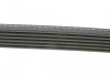 Ремінь генератора поліклиновий DAYCO 6PK1215 (фото 2)