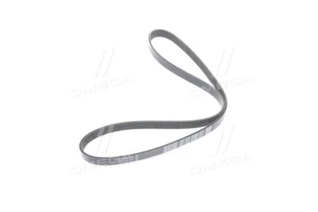 Ремінь П-клиновий DAYCO 6PK1234S