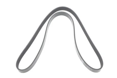 Фото 1 - ремінь генератора Ford Fiesta/Fusion 1.4TDCi 01-12/Peugeot Partner 1.6HDi 06-15 DAYCO 6PK1341 Ремінь генератора Ford Fiesta/Fusion 1.4TDCi 01-12/Peugeot Partner 1.6HDi 06-15 DAYCO 6PK1341 (фото 1)