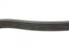 Ремень поликлиновый FORD FIESTA/FUSION 2001-2012 (1.4TDCI) DAYCO 6PK1705 (фото 2)