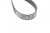 Ремень поликлиновый FORD FIESTA/FUSION 2001-2012 (1.4TDCI) DAYCO 6PK1705 (фото 4)