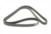 Ремень поликлиновый FORD FIESTA/FUSION 2001-2012 (1.4TDCI) DAYCO 6PK1705 (фото 5)