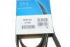 Ремень поликлиновый FORD FIESTA/FUSION 2001-2012 (1.4TDCI) DAYCO 6PK1705 (фото 6)