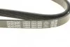 Ремінь генератора поліклиновий DAYCO 6PK1900 (фото 4)