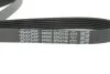 Ремінь генератора поліклиновий DAYCO 6PK2135 (фото 2)