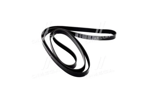 Ремінь генератора MB W124 M104 88-95 / W140 M104 93-98 / W211 M113 02-08 DAYCO 6PK2450