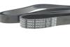 Ремень поликлиновой DAYCO 6PK2515 (фото 4)