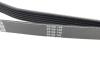 Ремень поликлиновой DAYCO 6PK2605 (фото 3)