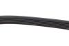 Ремень поликлиновой DAYCO 6PK2605 (фото 4)