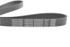 Ремінь генератора Citroen Berlingo 1.6 HDi/BlueHDi 08-/Peugeot Partner 1.6 HDi/BlueHDi 14- DAYCO 6PK962S (фото 3)