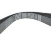 RENAULT Ремень поликлиновый (Elastic) DUSTER 1.6 15-, MEGANE IV 1.6 15- DAYCO 7PK1051EE (фото 4)