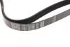 Ремінь поліклиновий DAYCO 7PK1809 (фото 3)