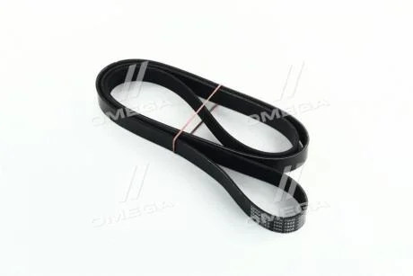 Ремінь генератора Toyota Camry/Rav4 2.4 05- DAYCO 7PK1905