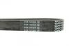Ремень генератора Ford Transit 2.0/2.4 DI/TDCi/TDE 00-06 DAYCO 7PK2711 (фото 3)