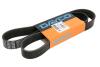- Ремінь (поліклиновий) DAYCO 8PK1289HD (фото 1)