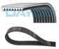 - Ремінь (поліклиновий) DAYCO 8PK1555HD (фото 1)