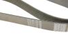 Ремень поликлиновой DAYCO 8PK2190 (фото 5)