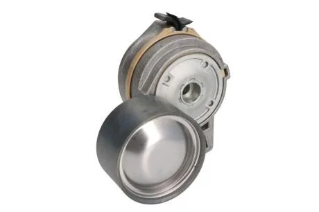 Ролик ременя / НАТЯЖНОЙ РОЛИК MB TOURISMO / TRAVEGO / SETRA COMFORTCLASS 400 DAYCO APV1094