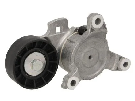 Натяжна планка поліклинового паска Citroen C4/C5, Peugeot 307, 407 1.8/2.0/2.2 11.04- DAYCO APV2712