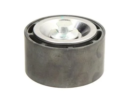 - Обвідний ролик поліклинового ременя DAYCO APV3064