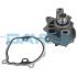 Водяний насос NISSAN/OPEL/RENAULT Primastar/Movano/Vivaro/Master \&#039;\&#039;2,2-2,5D &quot;00&gt;&gt; DAYCO DP279 (фото 1)